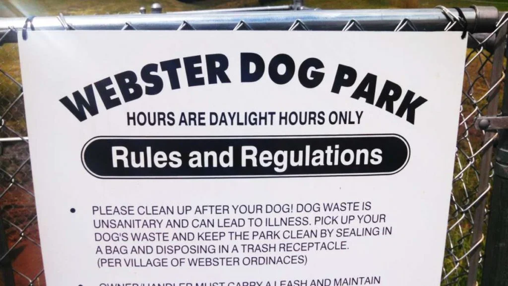 dogpark5