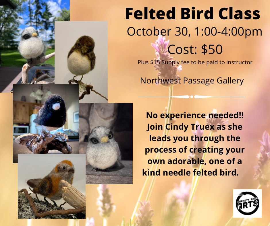 Felted Bird Class, Northwest Passage Gallery, BAAG, Webster, WI